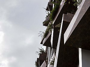 09.jpg