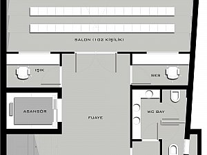 z (11).jpg