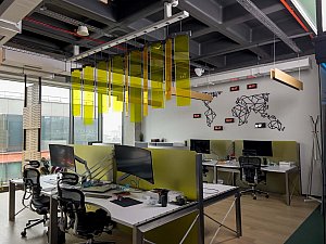 sir (16).jpg