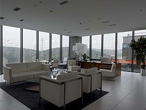 sir (17).jpg