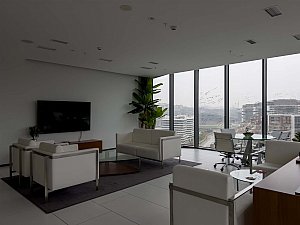 sir (18).jpg