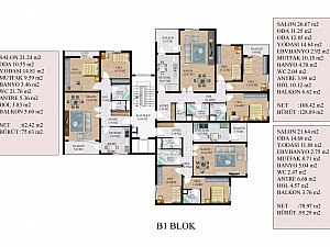 6 (2).jpg