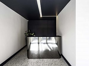 vitrosens (1).jpg