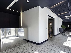 vitrosens (2).jpg