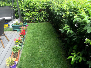 IMG-20160626-WA0003.jpg