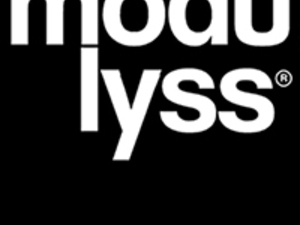 modulyss.jpg