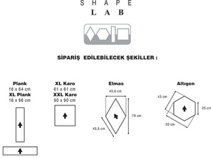 Shape-LAPS.jpg