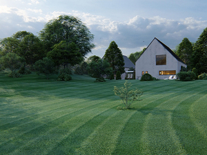 Customizable-3D-Grass.jpg