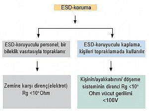 Sika_5Nisan
