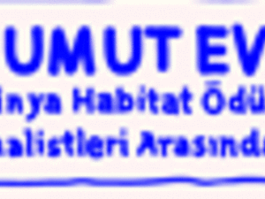 ocak r12 c14