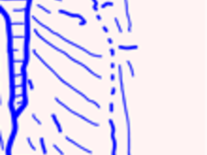 Ocak r17 c24