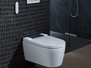 2019-Bathroom-01-F-Geberit-AquaClean-Sela_${08062014}.jpg