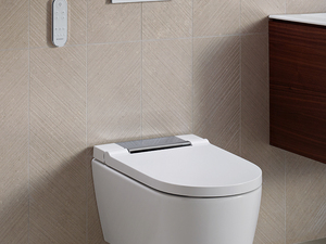 2019-Bathroom-03-C1-Geberit-AquaClean-Sela_${08028877}.jpg