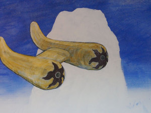 cappadox-(10).jpg