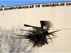 kuzgun acar-kuşlar.jpg