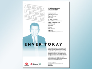 envertokay_aibm2.jpg