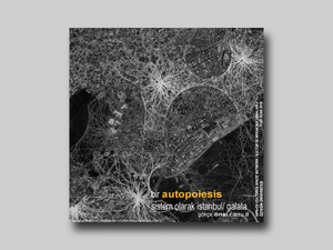 autopoiesis2.jpg