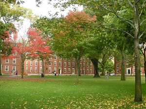 harvard.jpg