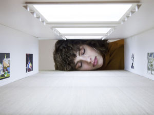Put-Your-Head-into-Gallery-574887d566c2c 880