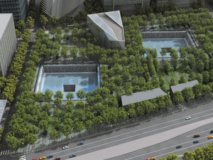 rsz_piccrandelltreegarden16tg_wtcm_011a_p142.jpg