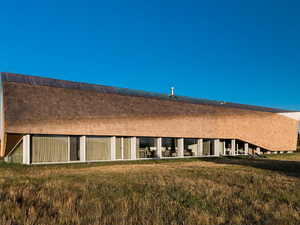 dune-house-4.jpg