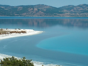 salda.jpg