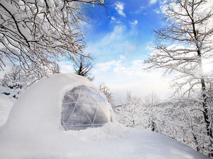 Garden-Igloo-9.jpg