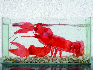 lobster.jpg