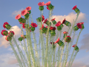 roses.jpg