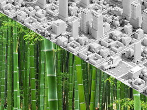 manset_bamboo.jpg