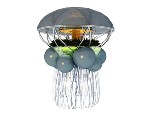 jellyfish.jpg