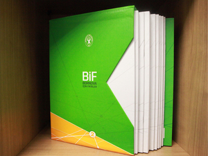 resize_bif.jpg