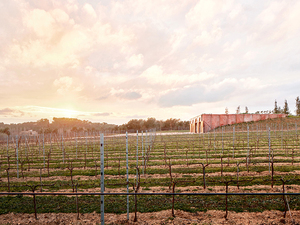 jorge-vidal-tomas-victor-rahola-mont-ras-winery-girona-catalonia-spain-designboom-10.jpg