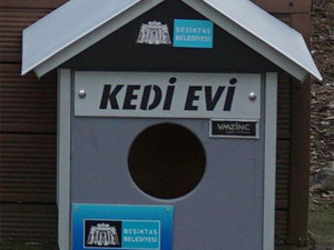 kedi-evi-2.jpg