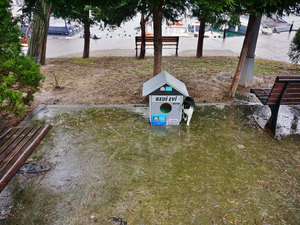 kedi-evi-3.jpg