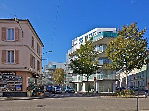 Mies 2017