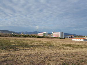 manset_bandirma.jpg