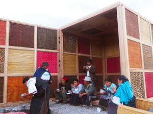 totora-2.jpg