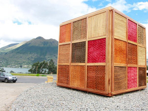 totora.jpg