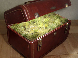 traveling-7.jpg