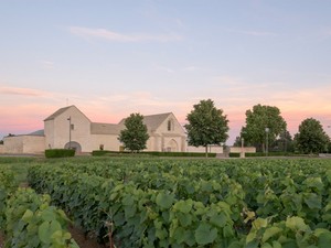 Meursault_10.jpg