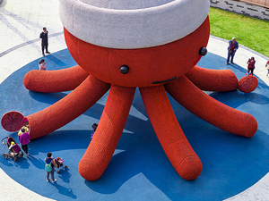 octopus 2.jpg