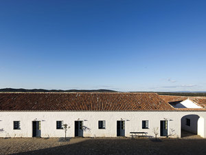 agricultural memory 3.jpg