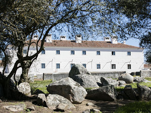 agricultural memory 4.jpg