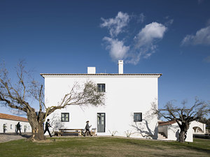 agricultural memory 5.jpg