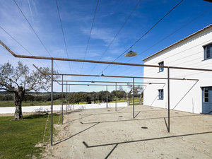 agricultural memory 6.jpg