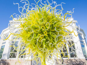 modern-art-chihuly-glass-sculptures-300417-738-02.jpg