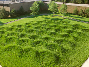 wave-field.jpg