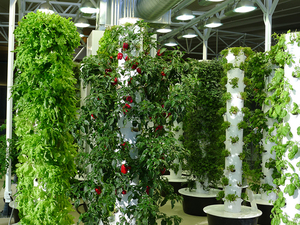 vertical farm.jpg