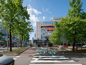 crosswalk 6.jpg
